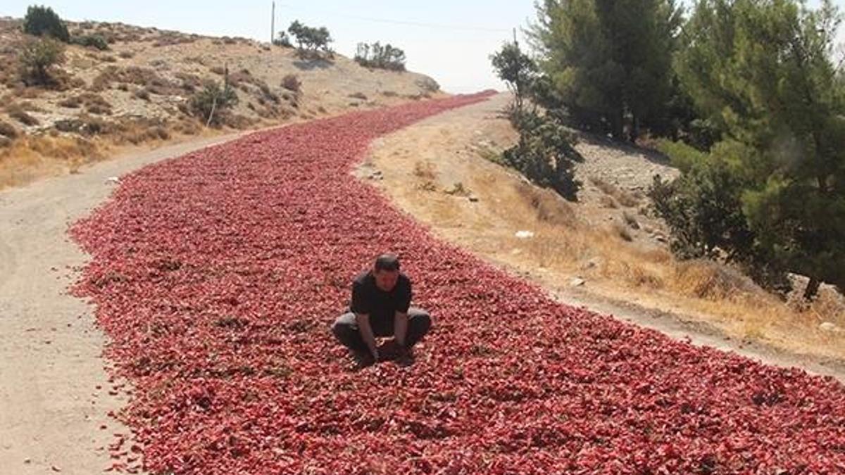 Toz biberin kilosu 15 TL'den 8 TL'ye düştü