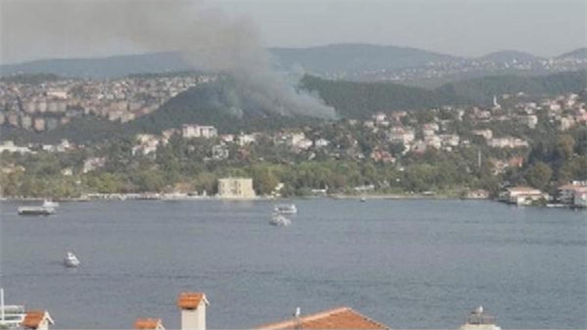 Beykoz'da orman yangını! Orman yangını neden çıktı, belli mi?
