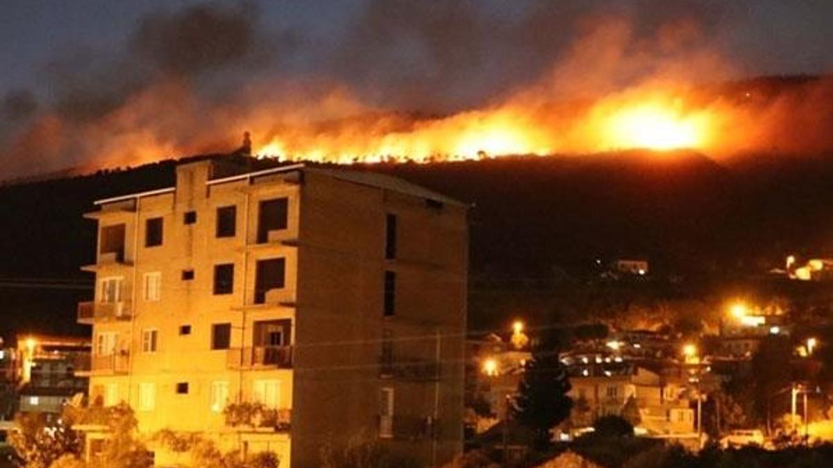Aydın Söke'deki orman yangını kontrol altına alındı