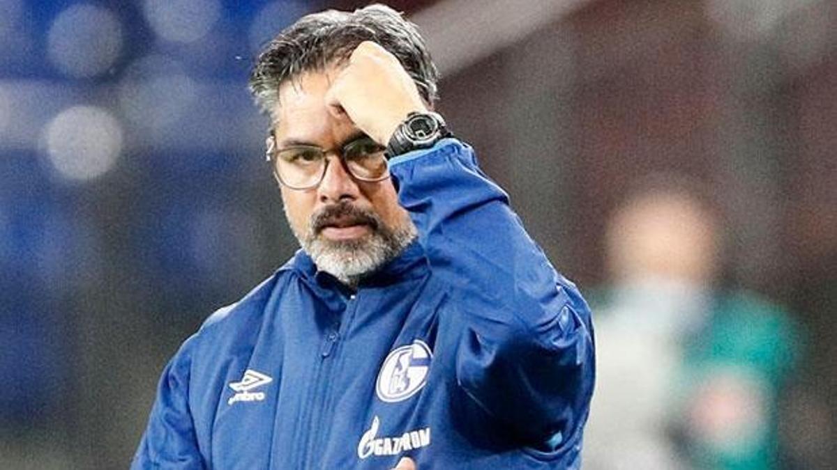 Schalke 04 teknik direktör David Wagner'in görevine son verdi