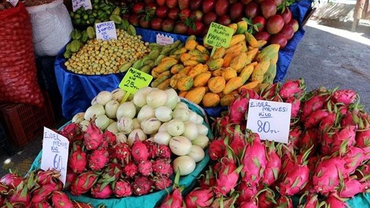 Taleplere yetişemiyorlar! Longon ve mangostanın fiyatı şaşırtıyor...