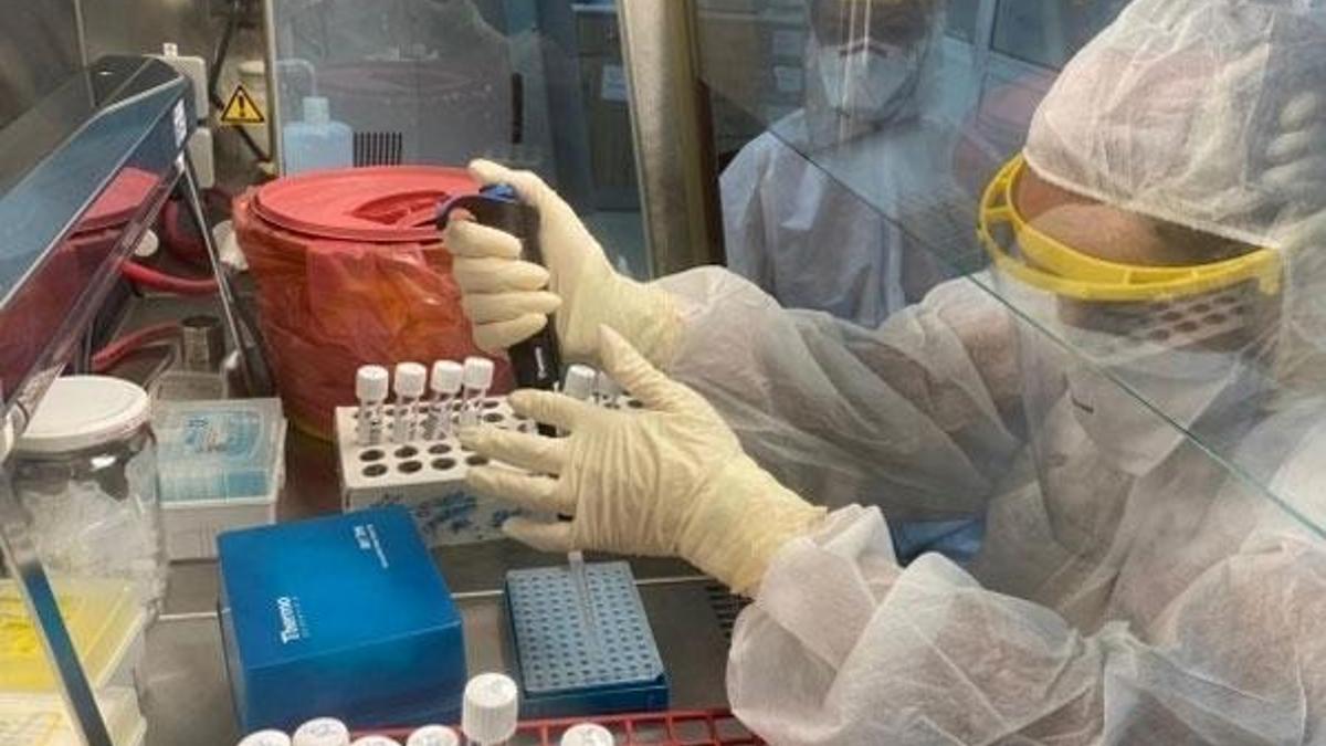 “Burun spreyi güvenli ve hücrelere zarar vermiyor”