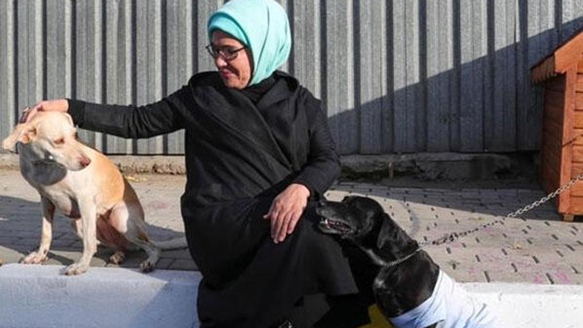 Emine Erdoğan, engelli köpek 'Leblebi'yi sahiplendi