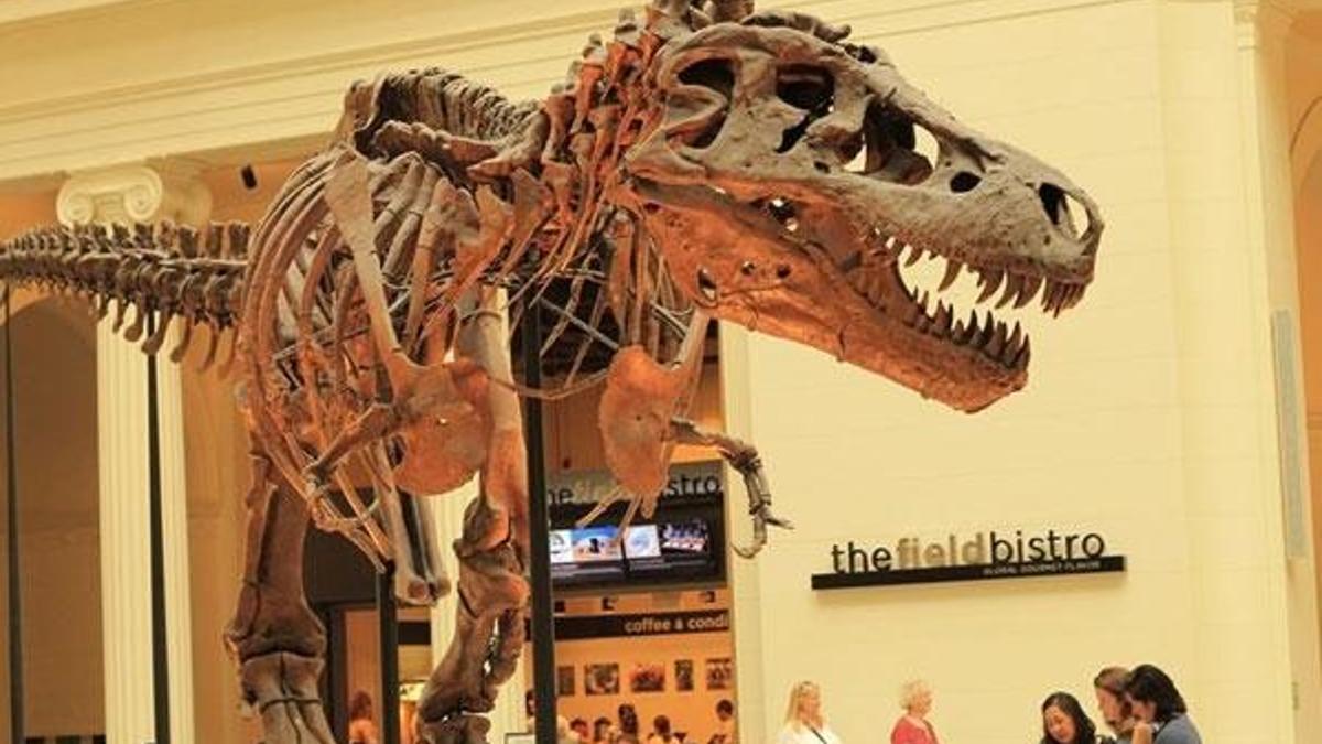 New York'ta 67 milyon yıllık dinozor iskeleti 27,5 milyon dolara satıldı