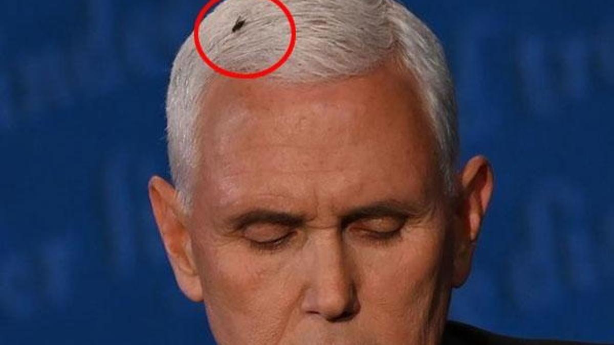 Pence ve Harris karşı karşıya geldi, tartışmaya 'sinek' damga vurdu