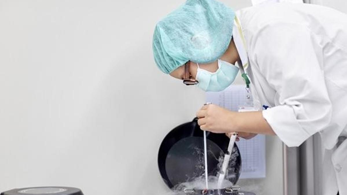 Yumurta dondurma işlemi nasıl yapılır? Yumurtalar ne kadar süreyle saklanabilir? Yumurta dondurma işlemi SGK tarafından karşılanıyor mu?