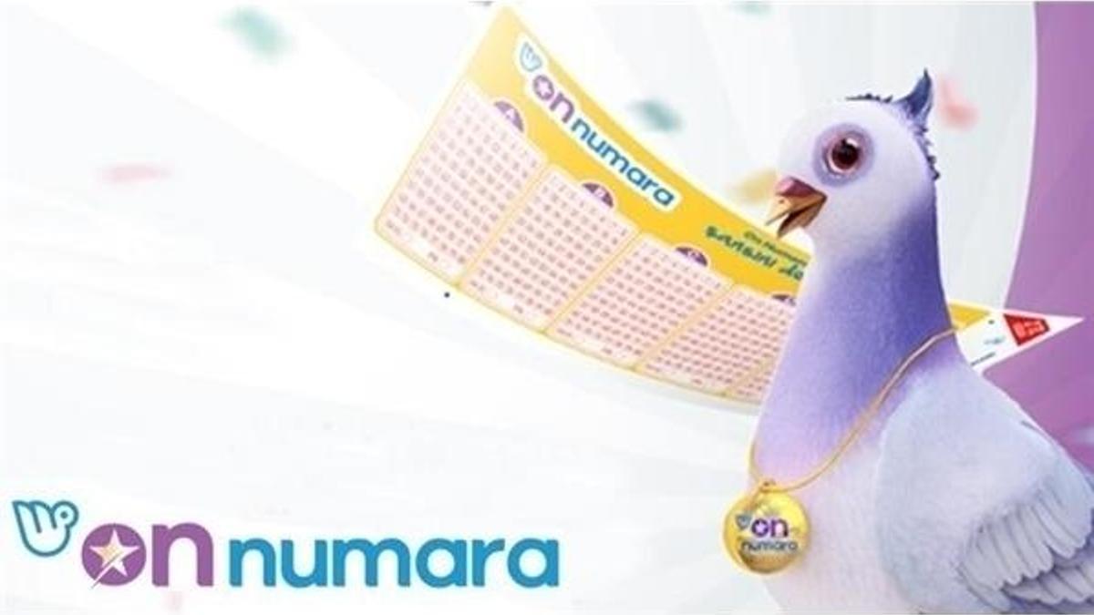 On Numara çekiliş sonuçları belli oldu