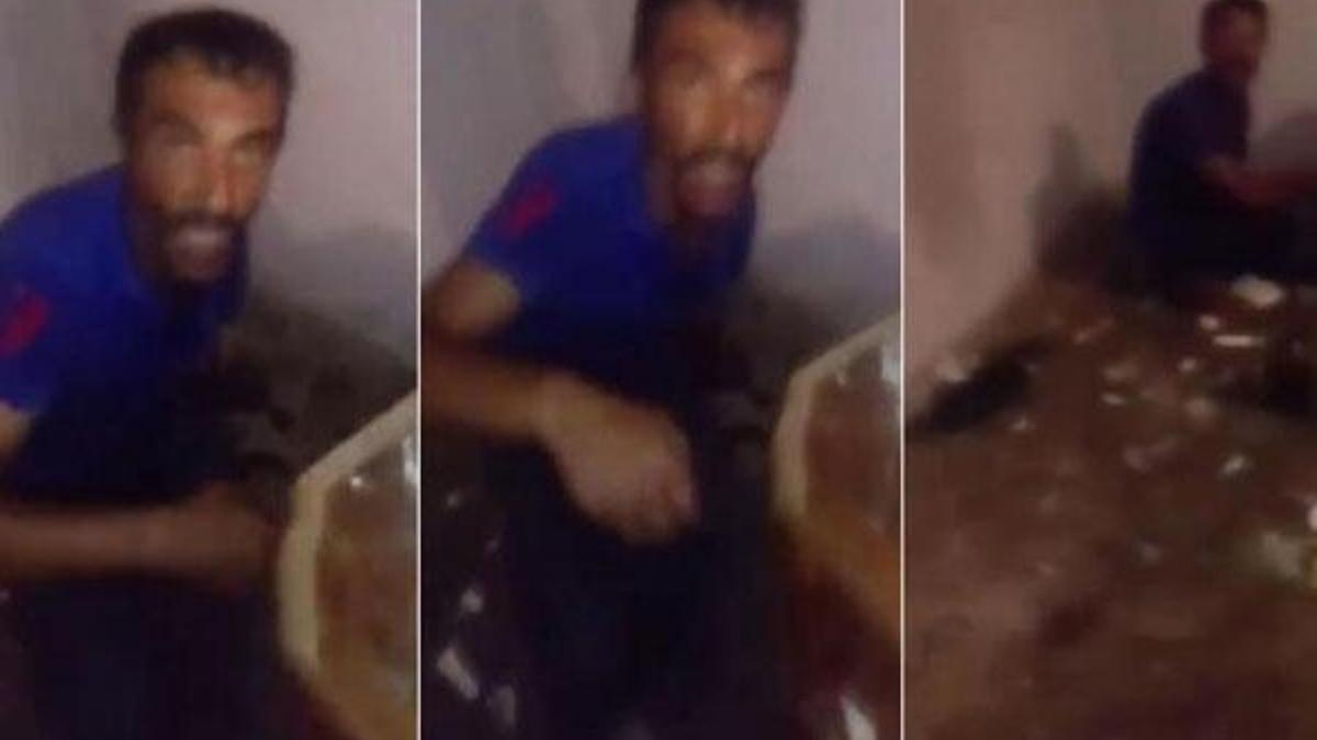 Kedilere işkence yaparak öldürdüğü iddia edildi!