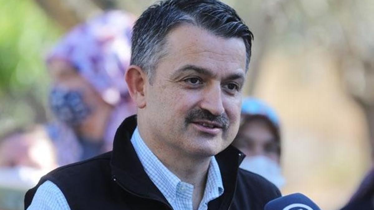 Bakan Pakdemirli 'müjde' diyerek duyurdu!
