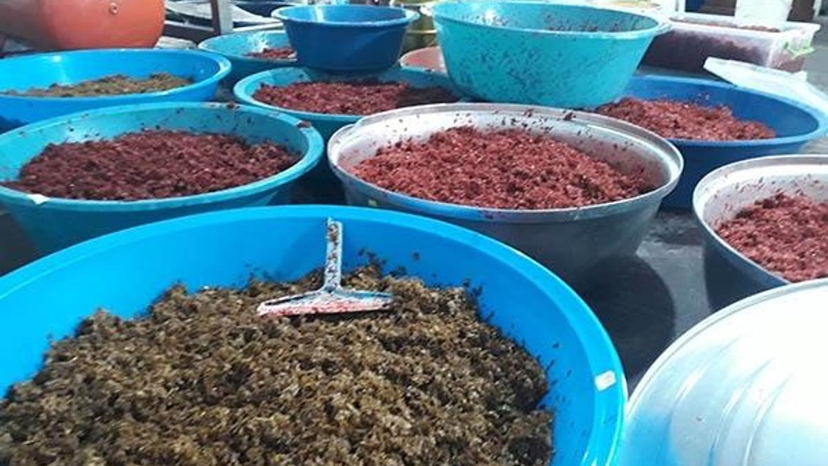 İstanbul merkezli 8 ilde kaçak nargile tütünü operasyonu: 54 gözaltı