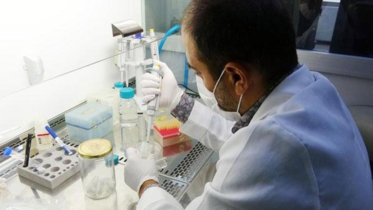 Vücut savunma sistemini enfeksiyonlara karşı koruyan vitamin geliştirildi
