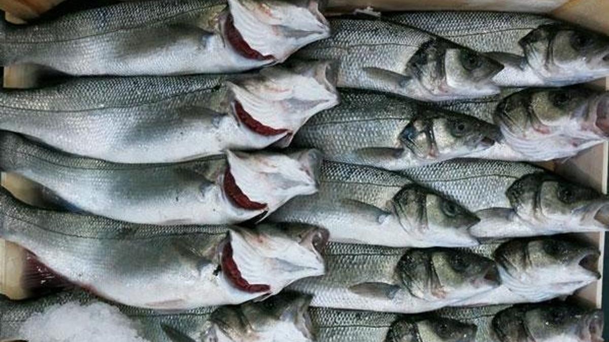 “Hamile, yaşlı ve veganların iyot tüketmesi şart”