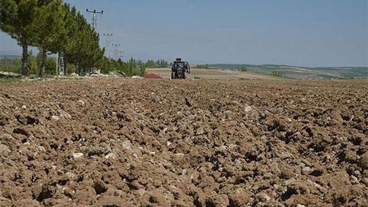 49 yıl ücret alınmayacak! Yatırıma Hazine arazisi desteği