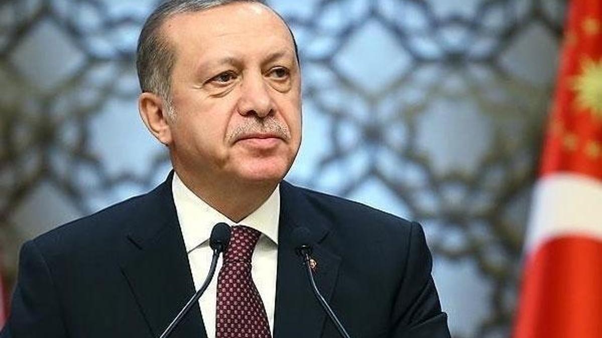 Cumhurbaşkanı Erdoğan'dan Wilders hakkında suç duyurusu