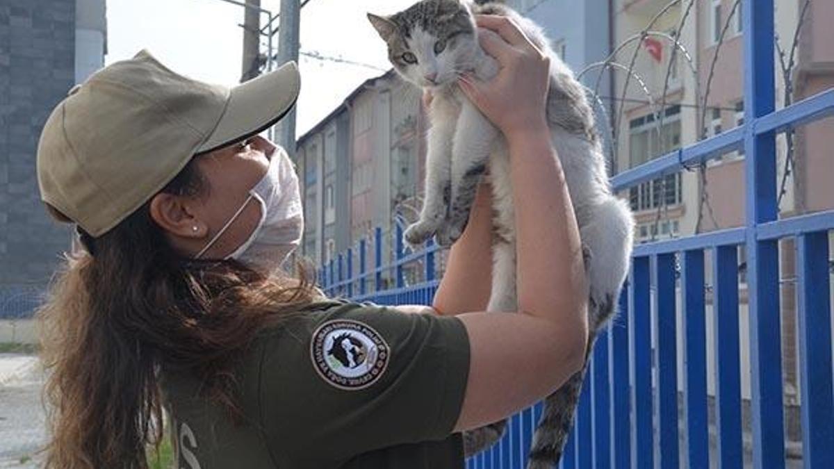 ‘HAYDİ’ uygulaması hayata geçti, hayvan koruma polisleri göreve başladı