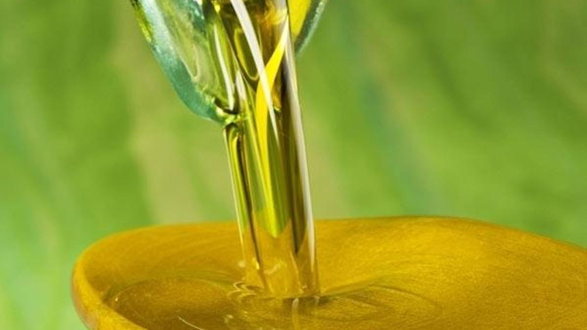 Fiyatlar belli oldu! Zeytinyağının kilosu...