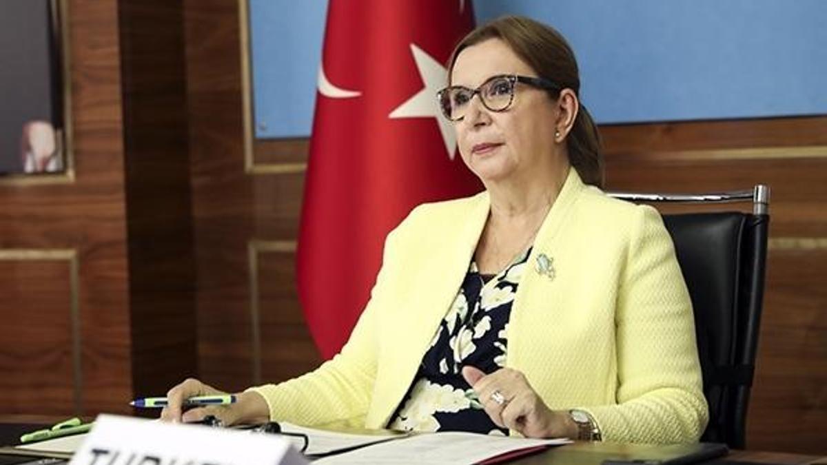 Bakan Pekcan: Küresel değer zincirlerinde çeşitlendirmeye gitmeliyiz