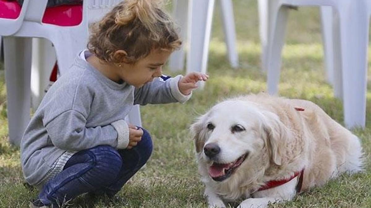 Araştırma köpeklerin insanların en eski hayvan dostu olduğunu gösterdi