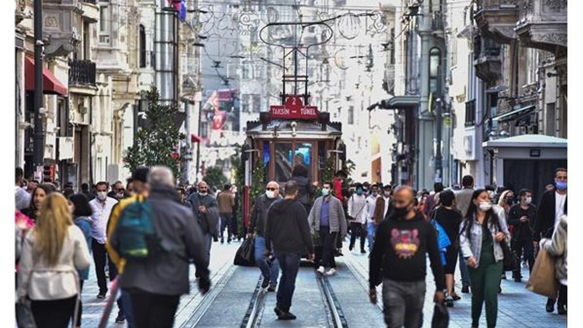 Defne yaprağını dünyaya ihraç ediyor