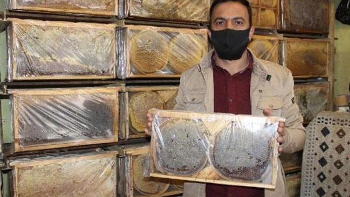 Koronavirüs, arı ürünlerine ilgiyi arttırdı