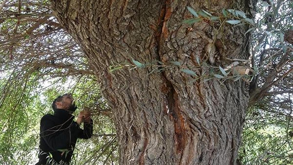 Yıldırım çarpan annesini kurtardı! 'Annemden yanık kokusu geliyordu'