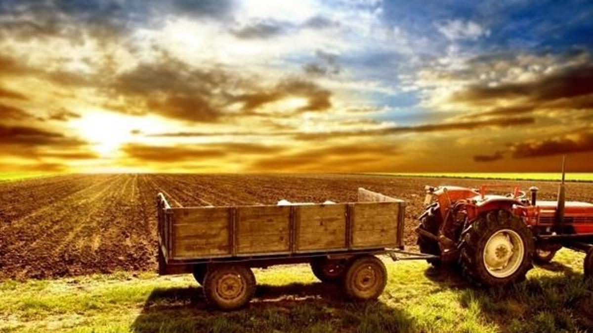 Tarım ve hayvancılık destekleri 2020 miktarı belli oldu! Tarım ve hayvancılık desteklemeleri ne zaman ödenecek?
