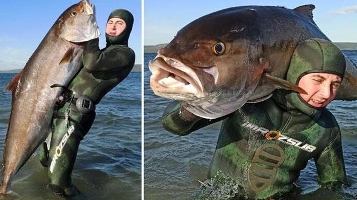 Gören şaşkına döndü! Zıpkınla avladı, 1 metre 80 santim boyunda...