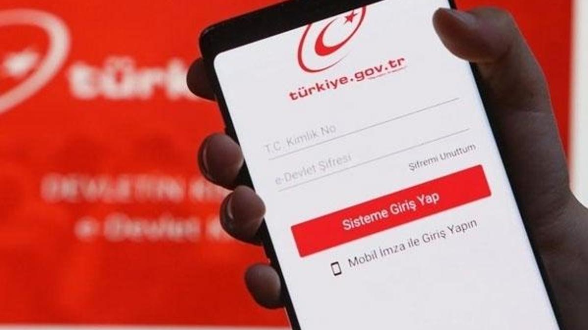 Gemi işlemleri e-Devlet'ten yapılabilecek