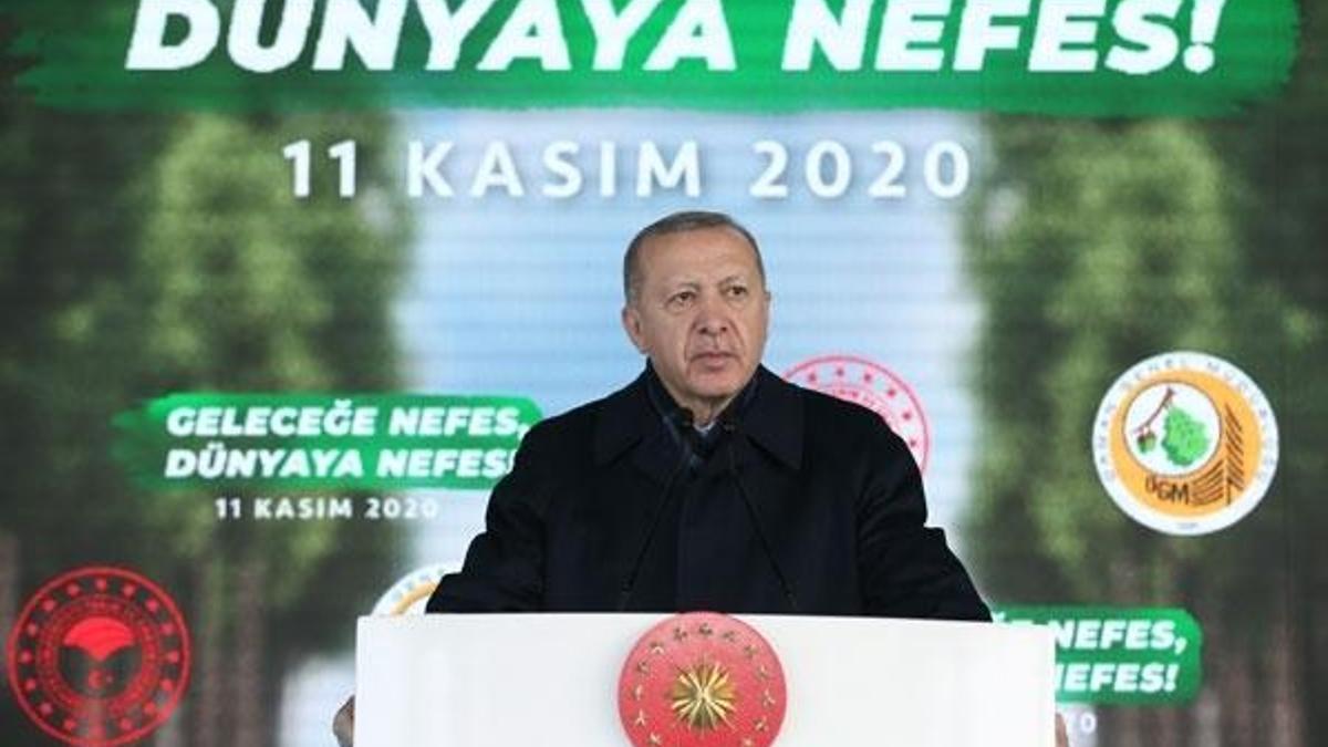 Cumhurbaşkanı Erdoğan canlı yayında müjdeyi verdi