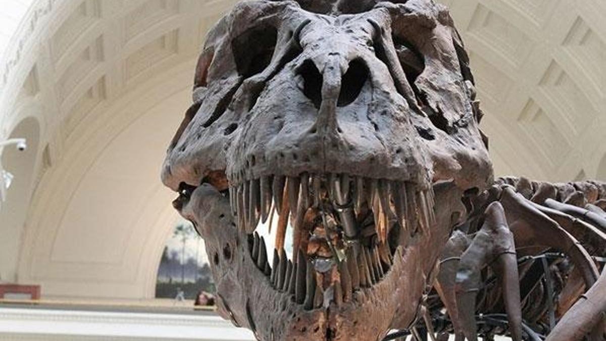Dinozor nüfusunun Dünya'ya asteroit çarpmadan önce azalmadığı ileri sürüldü