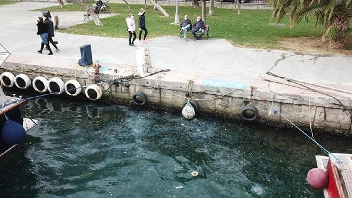 İstanbul Boğazı'nı denizanaları bastı! Yüzlerce...