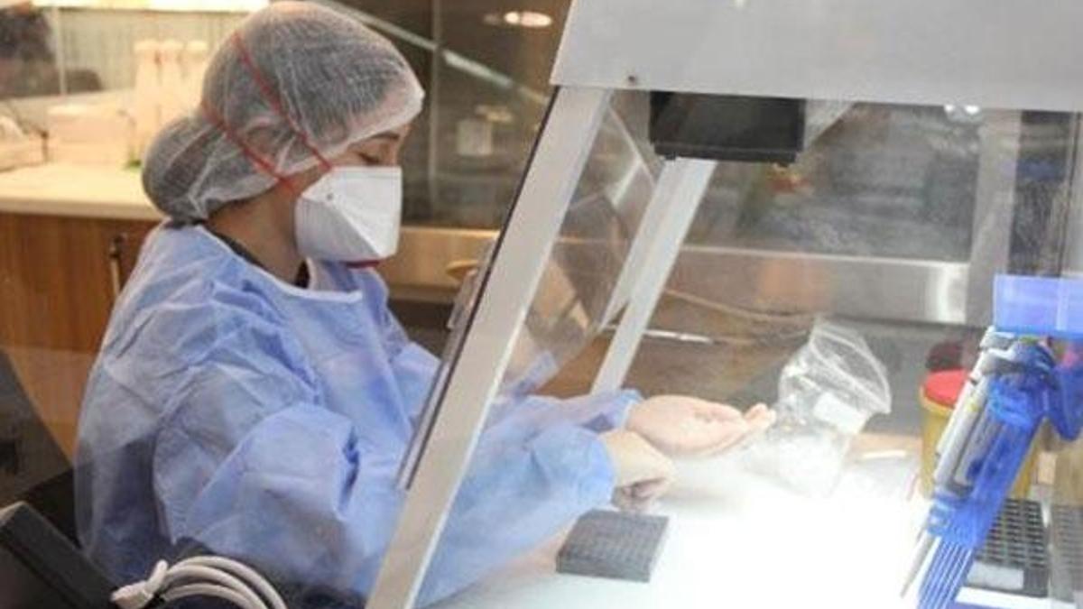 Koronavirüs hastalarının ölümüne yol açıyordu! Gizemi çözüldü
