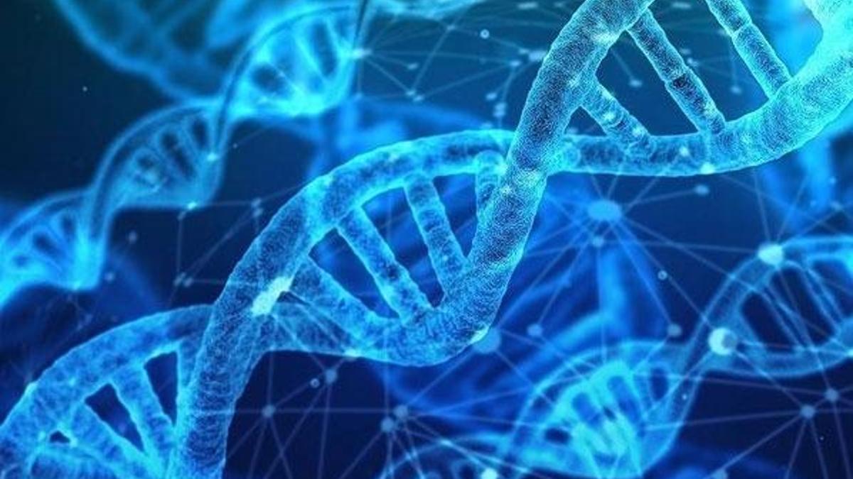 Akraba evliliklerine bağlı hastalıklarda '21 aday gen' keşfedildi