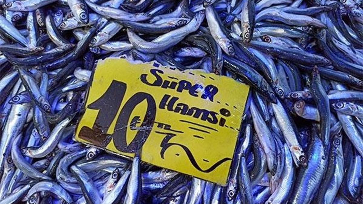Kilosu 10 liraya düştü! Vatandaşlar akın ediyor