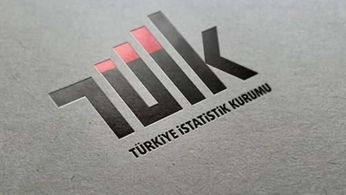 TÜİK personel alımı 2020 | TÜİK 37 temizlik ve  3 güvenlik görevlisi alacak! Şartlar ve başvuru linki…
