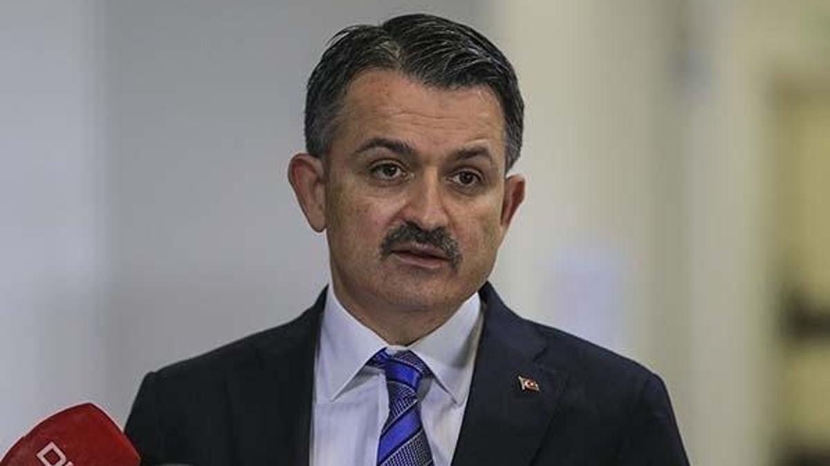 Bakan Pakdemirli duyurdu! Yüzde 511 arttı