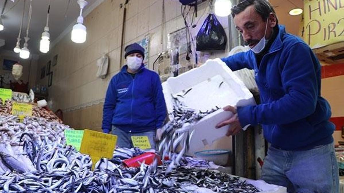 Hamsinin fiyatı düştü! Kilosu...