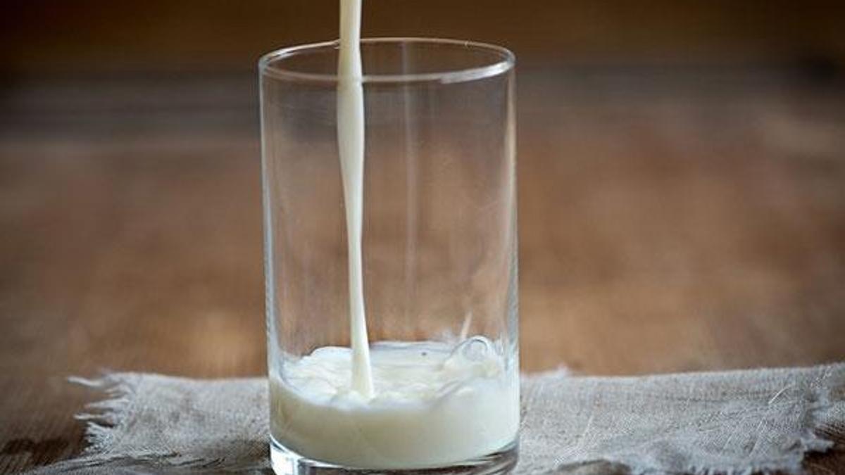 Keçi sütü içerisinde Kovid-19'a karşı etkili protein keşfedildi