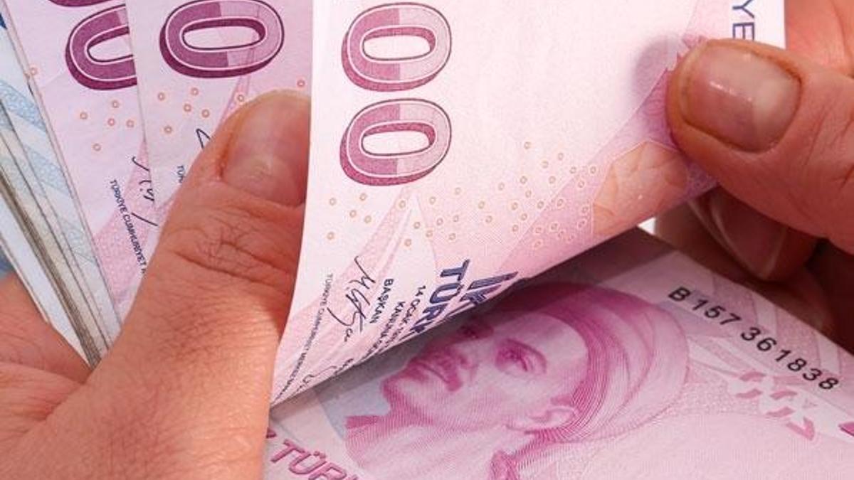 Yüzde 100'e kadar hibe verilecek! Bakan duyurdu