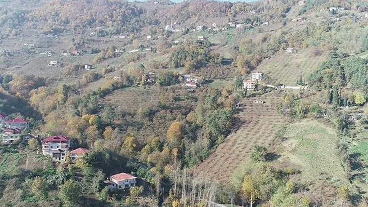 Trabzon'da ilginç olay! Duyan apar topar kaçtı
