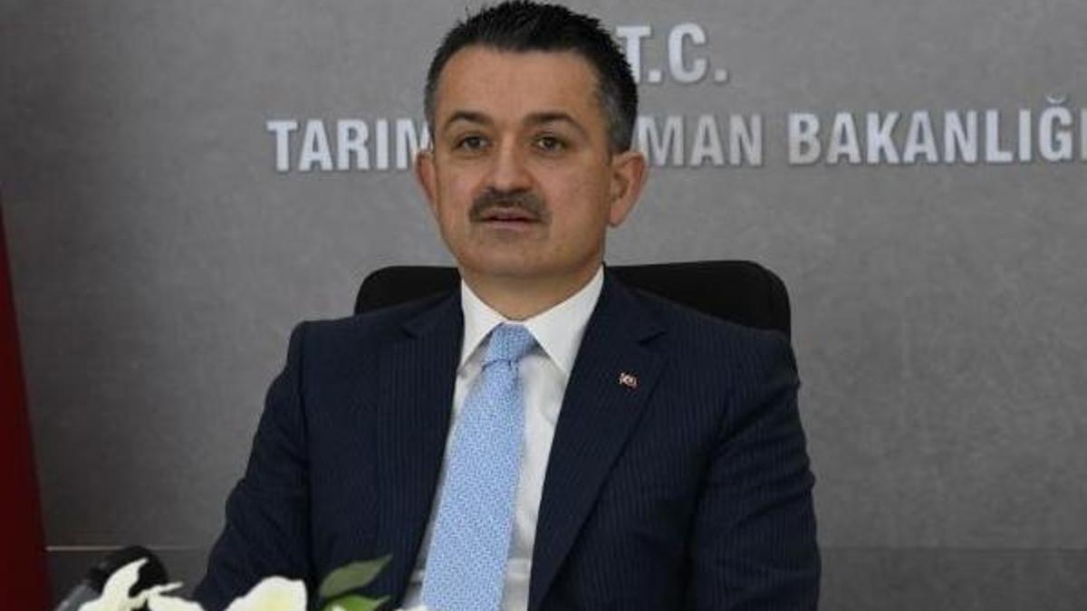 Bakan Pakdemirli'den destek açıklaması