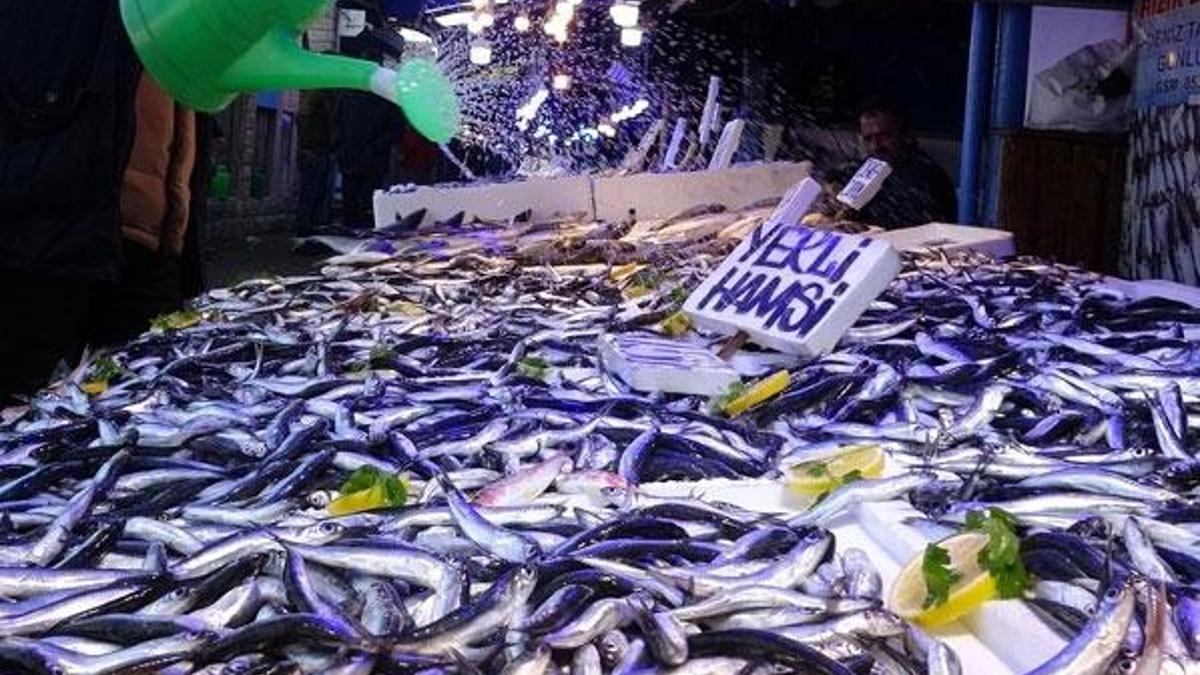 Balık tezgahlarında hafta içi bereketi! 10 lira