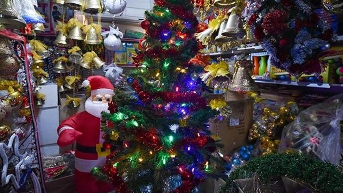 Yılbaşının simgesi 'çam ağacı' bu yıl zamlı! 400 liradan başlıyor...