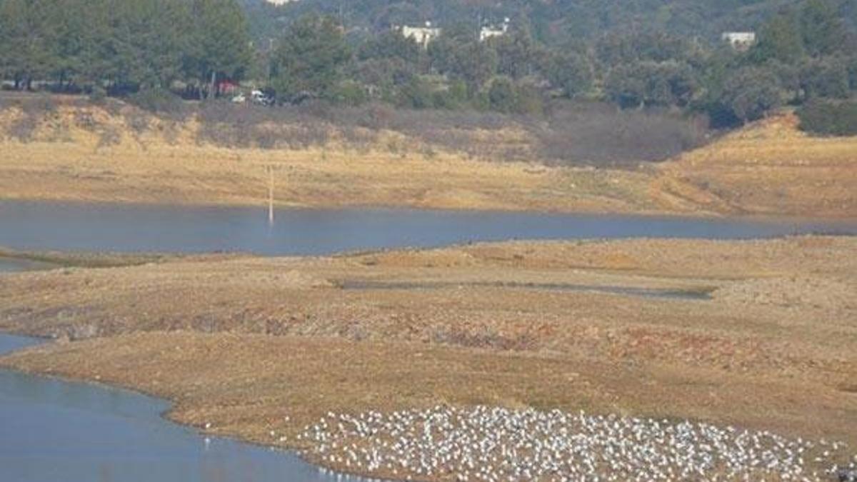 Bodrum için korkutan uyarı! Yüzde 26'ya kadar düştü