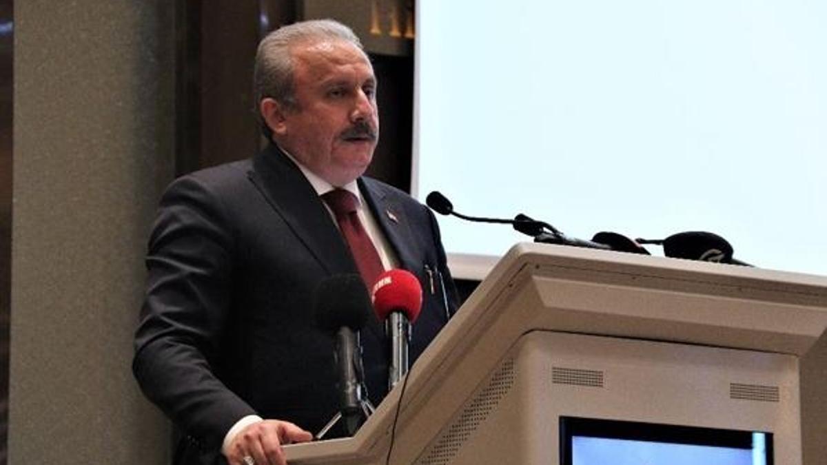 TBMM Başkanı Şentop: 'Türkiye güçlü bir devlettir'