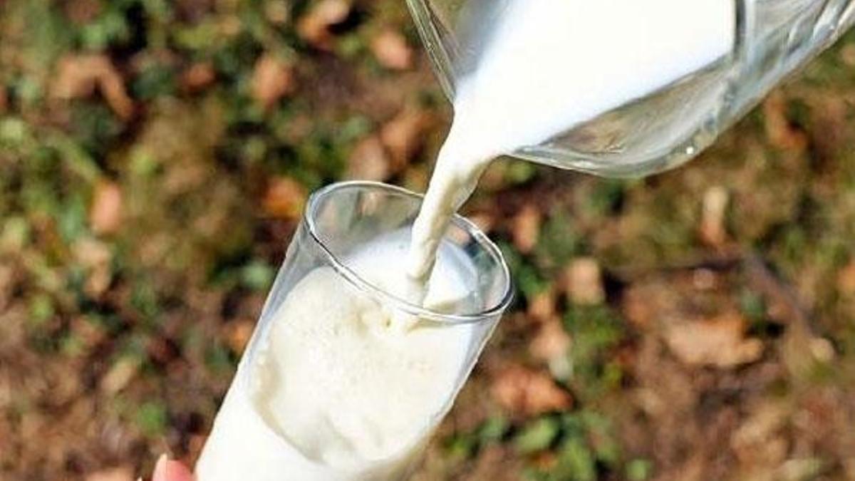 “Hileli süt ürünlerinin satışının önüne geçilmeli”