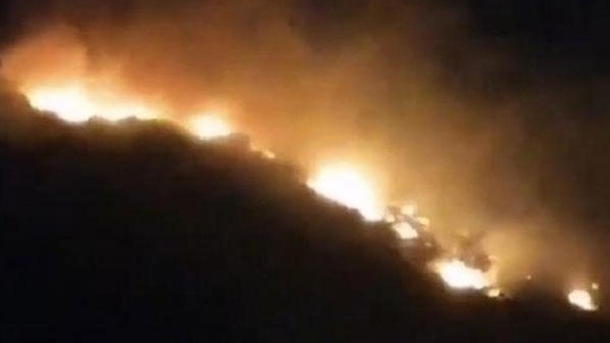 Hatay'da, 4 farklı noktada ağaçlık bölgede yangın