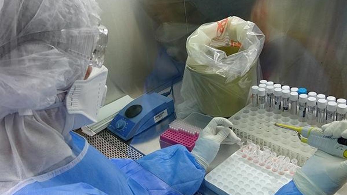 Prof. Dr. Aydın: Bulaşın engellenmesinin en başarılı yolu aşıdır