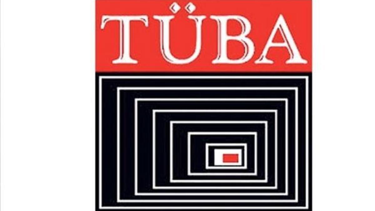 Türkiye Bilimler Akademisi yeni üyelerini seçti