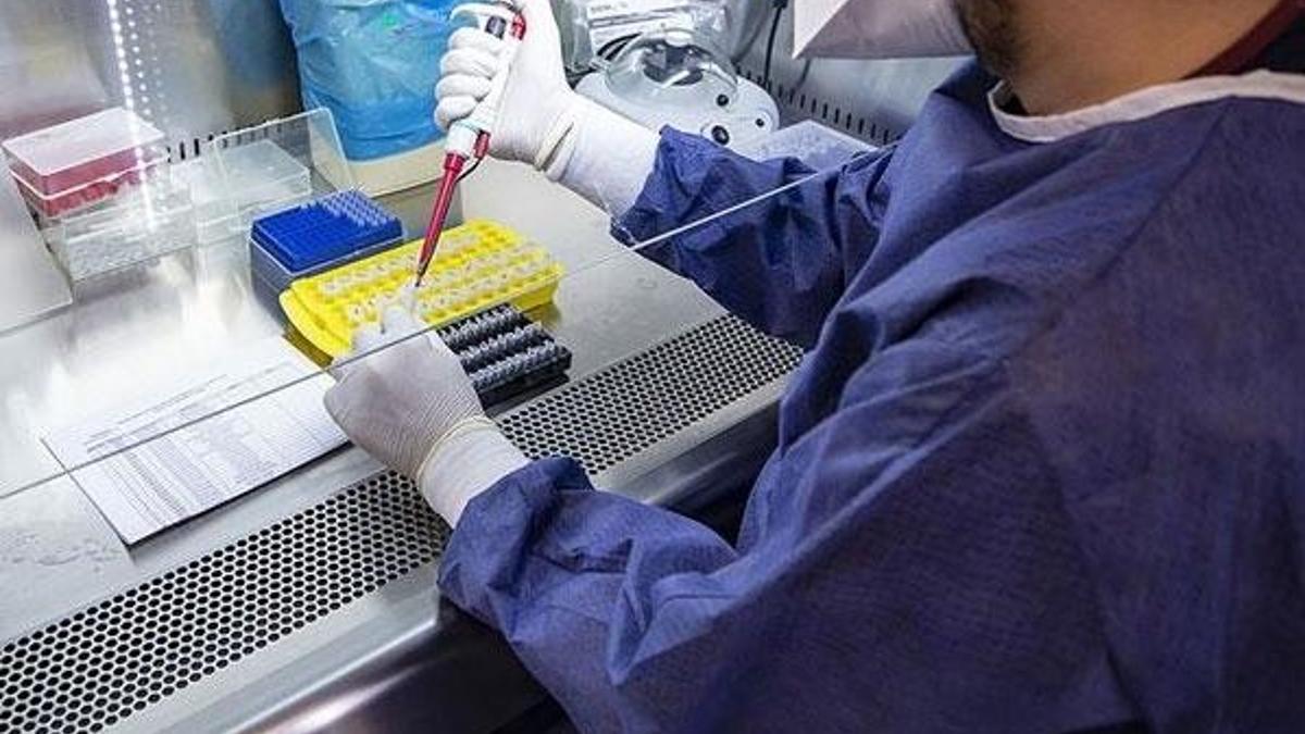 Bakan duyurmuştu! "PCR testi ibrazı zorunluluğu" uygulaması yarın başlayacak